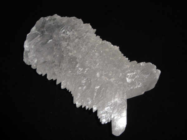 Fishtail Selenite