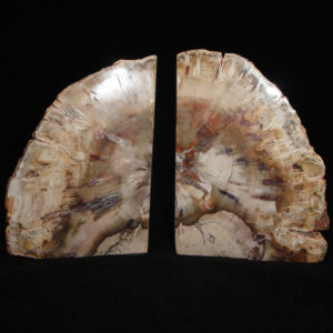 Petrified Wood Bookends