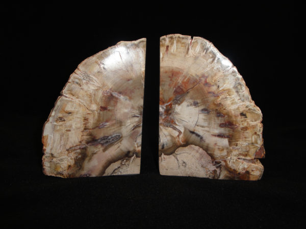 Petrified Wood Bookends